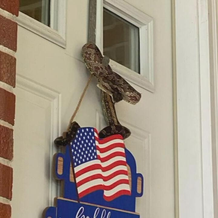 SNAKE BITES KY WOMAN IN FACE - 6-22-2022  (2).jpeg